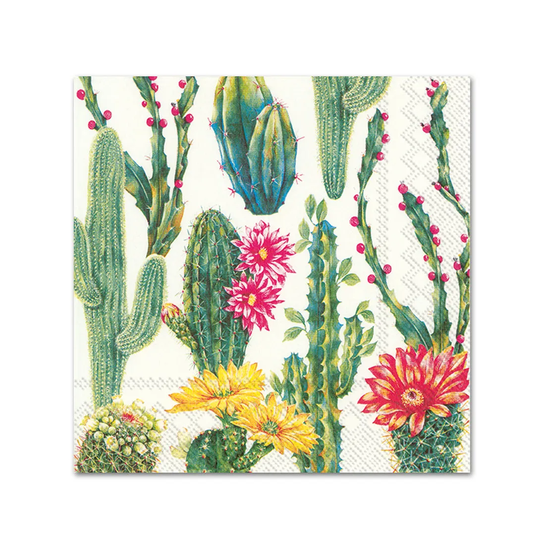 Exotic Desert Garden Paper Beverage Napkins