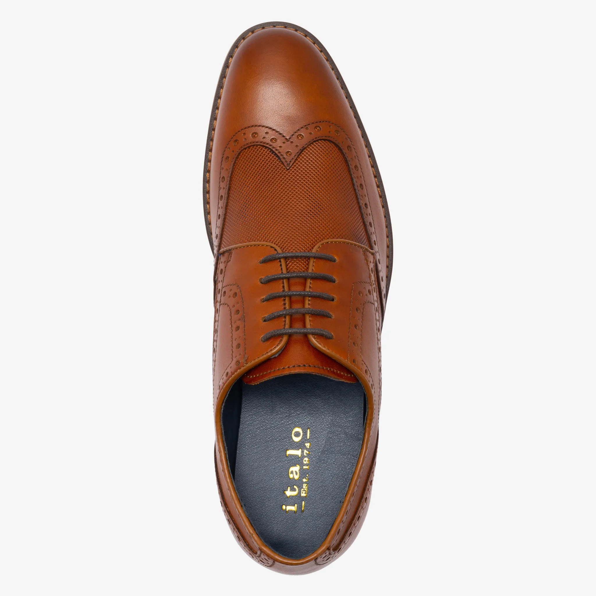 Wing Tip Shoes